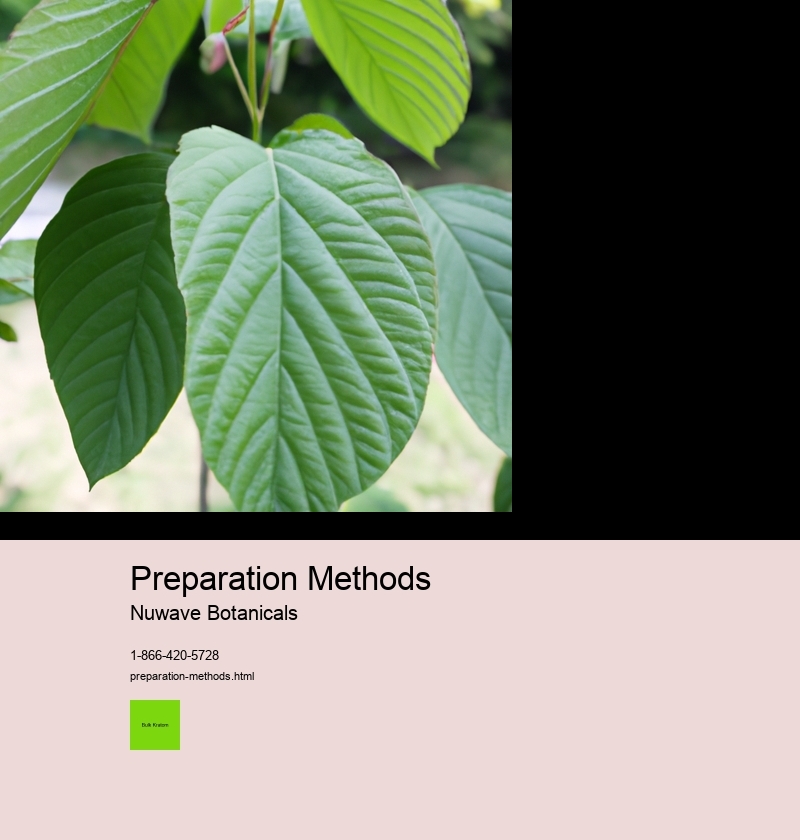 Preparation Methods